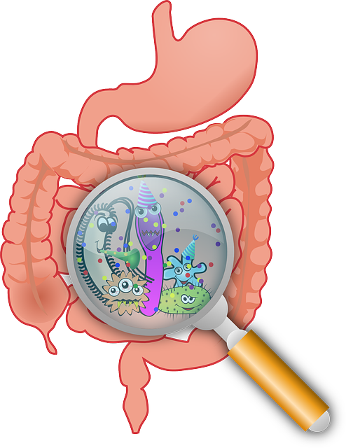 Fix your gut bacteria